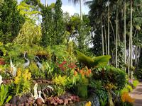 Im Orchideengarten in Singapur