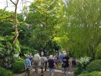 Im Orchideengarten in Singapur