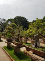 Nan Lian Tempel in Hongkong
