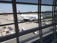 Rückflug von Tokyo mit der Fanhansa