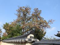 Andong Hahoe-Dorf Südkorea 