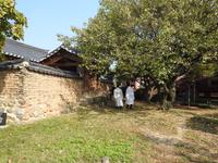 Andong Hahoe-Dorf Südkorea 