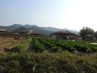 Andong Hahoe-Dorf Südkorea 