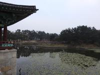 Anapij Pond - Mondsee