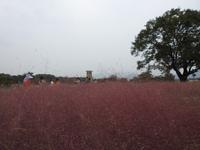 Älteste Sternwarte der Welt