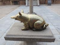 Glücksschwein bzw. Goldschwein