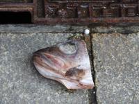 Fischmarkt Busan Südkorea