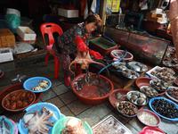 Fischmarkt Busan Südkorea