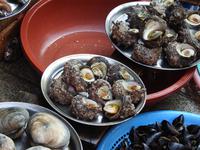 Fischmarkt Busan Südkorea