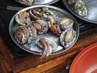 Fischmarkt Busan Südkorea