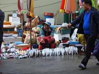 Fischmarkt Busan Südkorea