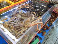 Fischmarkt Busan Südkorea