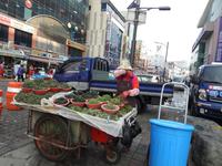 Fischmarkt Busan Südkorea