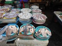 Fischmarkt Busan Südkorea