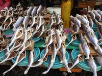 Fischmarkt Busan Südkorea