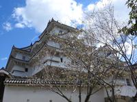 Himeji Castle Japan 