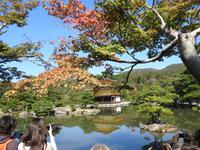 Kinkakuji Japan 
