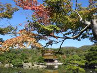 Kinkakuji Japan 