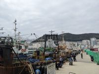 173. Jagalchi Fischmarkt, Busan, Südkorea