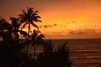 13 Sonnenuntergang Colombo