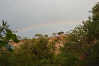 60 Löwenfelsen Sigiriya