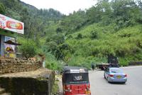 191 Spaziergang im Hochland