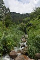 192 Spaziergang im Hochland