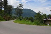 193 Spaziergang im Hochland