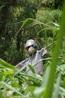 194 Spaziergang im Hochland