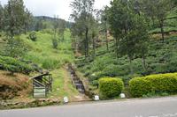 195 Spaziergang im Hochland