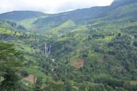 196 Spaziergang im Hochland (1)