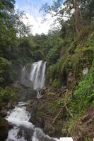 199 Spaziergang im Hochland