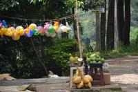 200 Spaziergang im Hochland