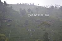 207 Besuch Teefabrik