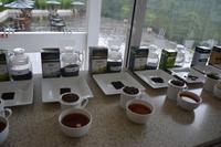 208 Besuch Teefabrik