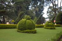 219 Garte vom Grand Hotel Nuwara Eliya