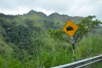 252 Region Adams Peak