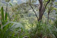 255 Spaziergang zum Rawana Wasserfall