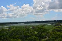 275 Landschaft Tissamaharama