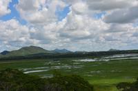 276 Landschaft Tissamaharama