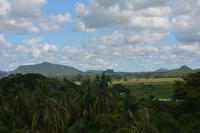 277 Landschaft Tissamaharama