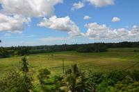 278 Landschaft Tissamaharama