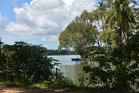 280 Spaziergang Landschaft Tissamaharama