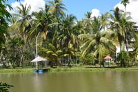 281 Landschaft Tissamaharama