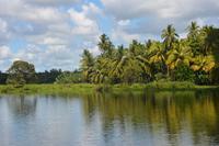 284 Landschaft Tissamaharama