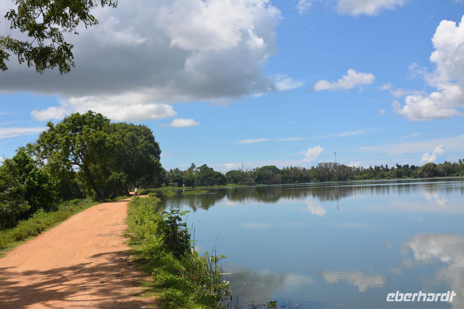 288 Landschaft Tissamaharama