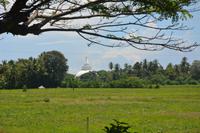 298 Landschaft Tissamaharama