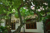 309 Landschaft Tissamaharama