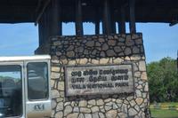 331 Safari im Yala Nationalpark