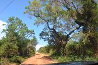 332 Safari im Yala Nationalpark